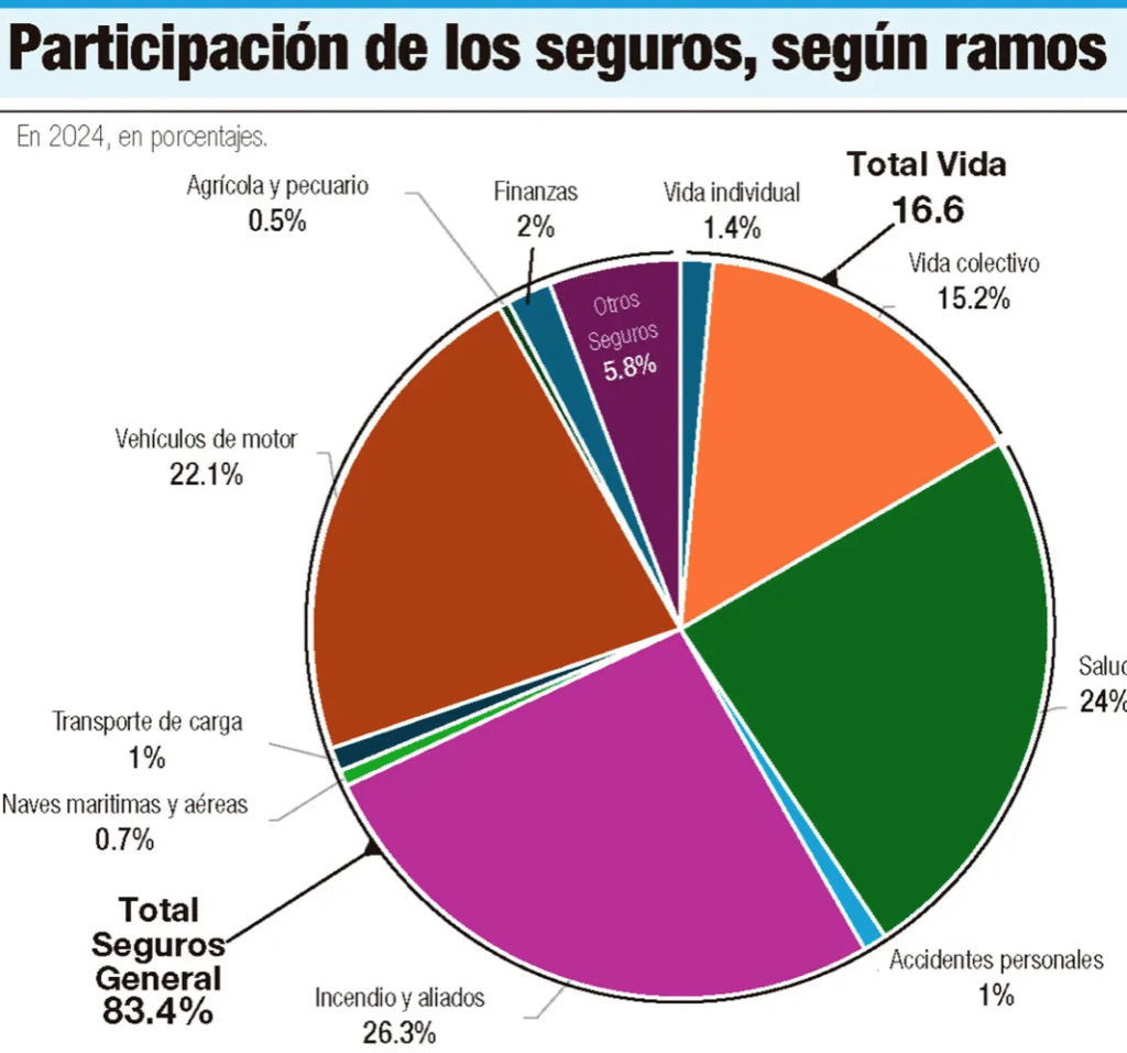 Primas de Seguros Crecieron un 17.3% Durante el Año 2024: Empleadores Aseguran a Trabajadores con Estatus Migratorio Irregular