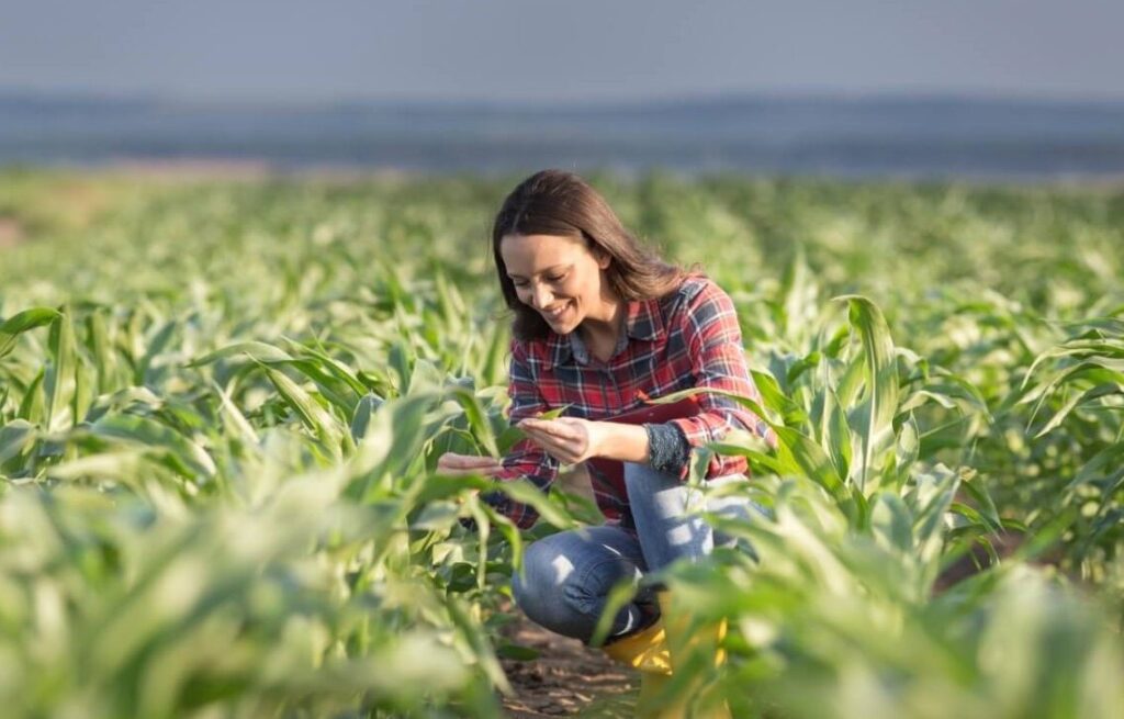 Mujeres dominicanas lideran la revolución del campo con microempresas rurales